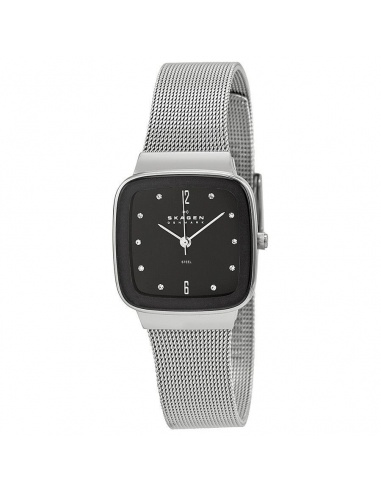 Ceas de dama Skagen 658SSB