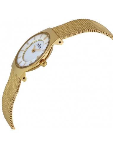Ceas de dama Skagen Slimline 233XSGG