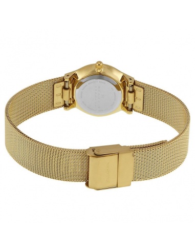 Ceas de dama Skagen Slimline 233XSGG