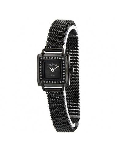 Ceas de dama Skagen Swarovski 821XSMM1
