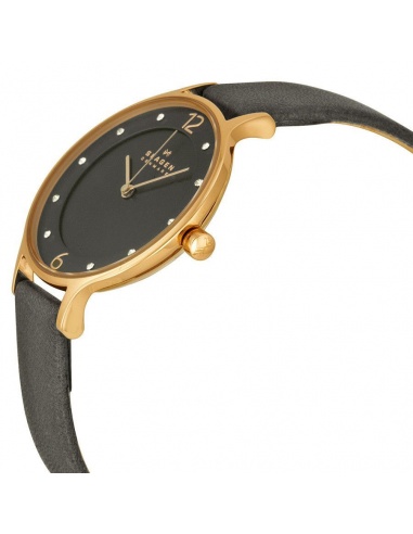 Ceas de dama Skagen Anita SKW2267