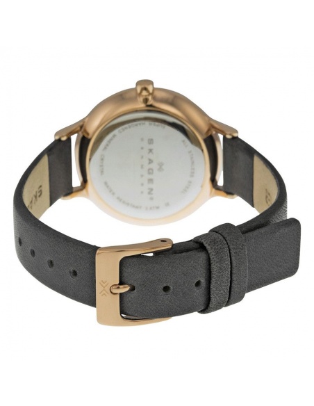 Ceas de dama Skagen Anita SKW2267