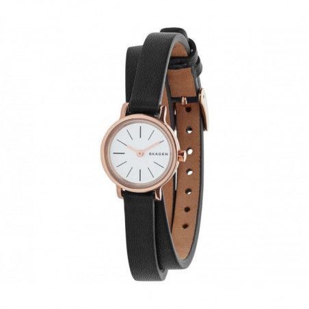 Ceas de dama Skagen Hagen SKW2598