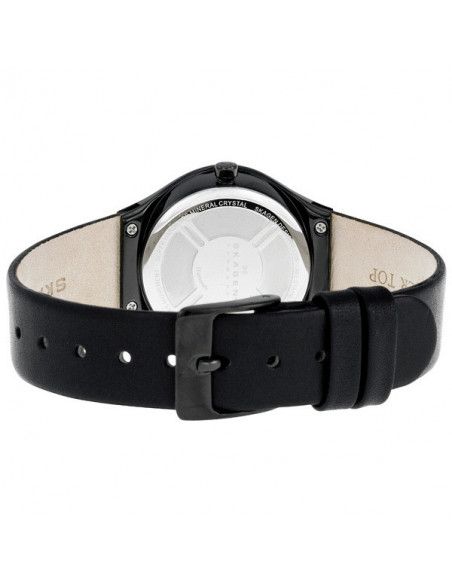 Ceas de dama Skagen Steel 886SBLB