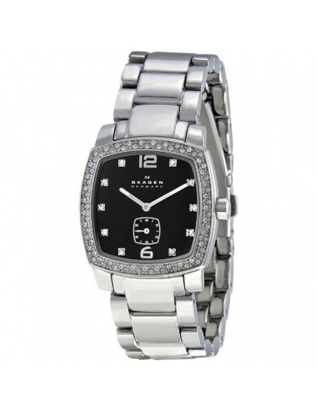 Ceas de dama Skagen Steel 555SSXB