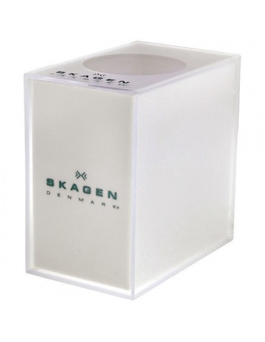 Ceas de dama Skagen Steel 555SSXB