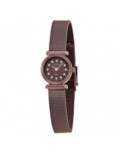 Ceas de dama Skagen 107XSMM1