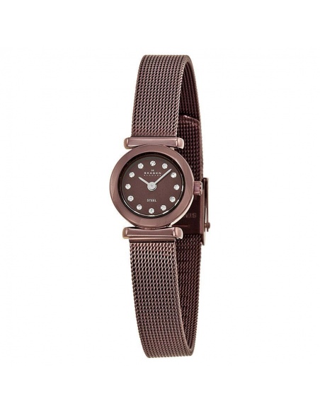 Ceas de dama Skagen 107XSMM1