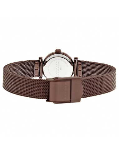 Ceas de dama Skagen 107XSMM1