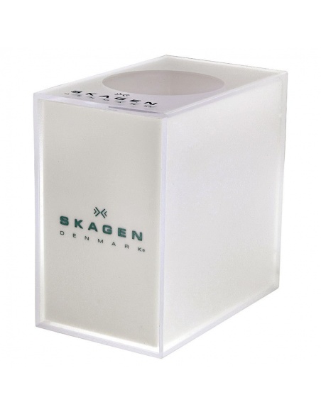 Ceas de dama Skagen 107XSMM1