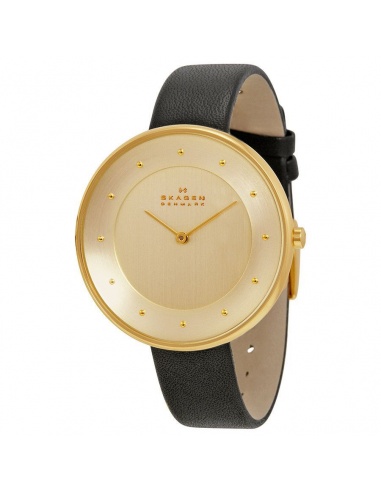 Ceas de dama Skagen Ditte SKW2262