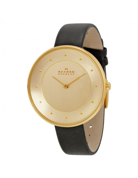 Ceas de dama Skagen Ditte SKW2262