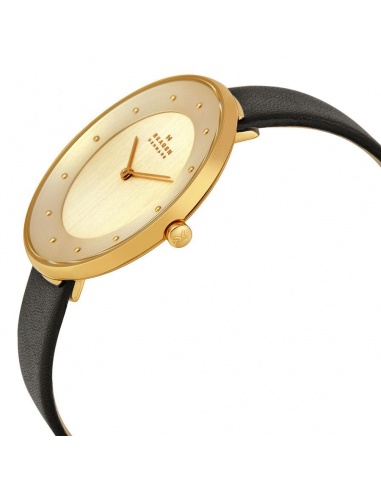 Ceas de dama Skagen Ditte SKW2262
