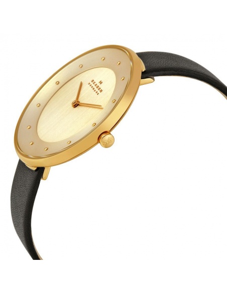 Ceas de dama Skagen Ditte SKW2262