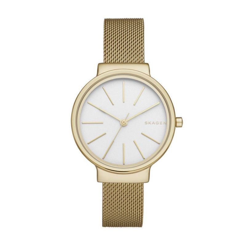 Ceas de dama Skagen Ancher SKW2477