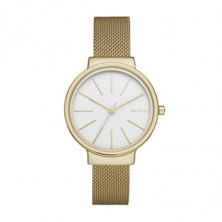 Ceas de dama Skagen Ancher SKW2477