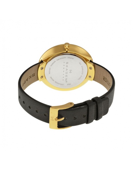 Ceas de dama Skagen Ditte SKW2262