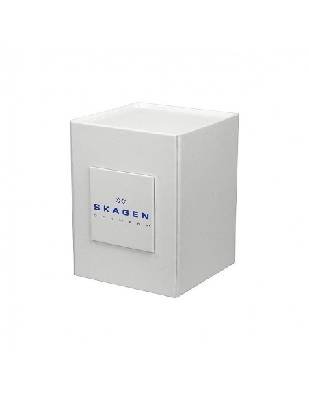 Ceas de dama Skagen Ditte SKW2262