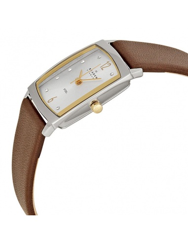 Ceas de dama Skagen Swarovski 691SSLG