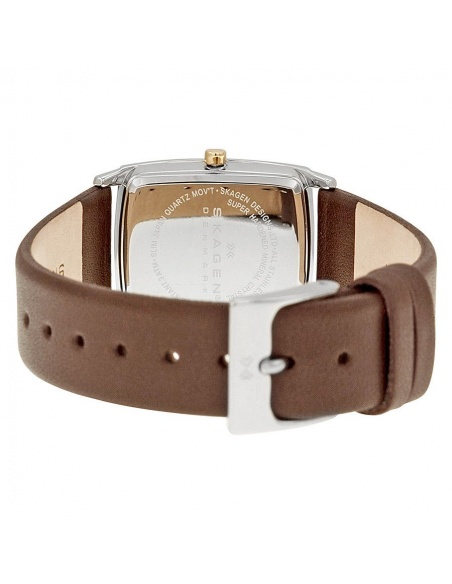 Ceas de dama Skagen Swarovski 691SSLG