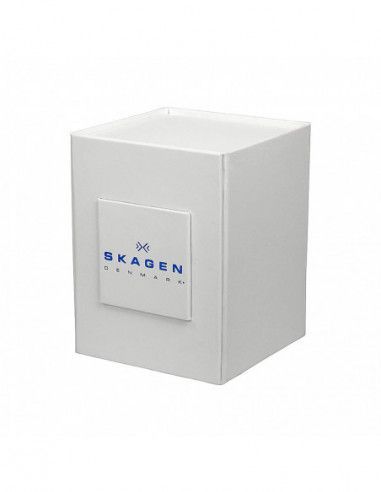 Ceas de dama Skagen Ancher SKW2196
