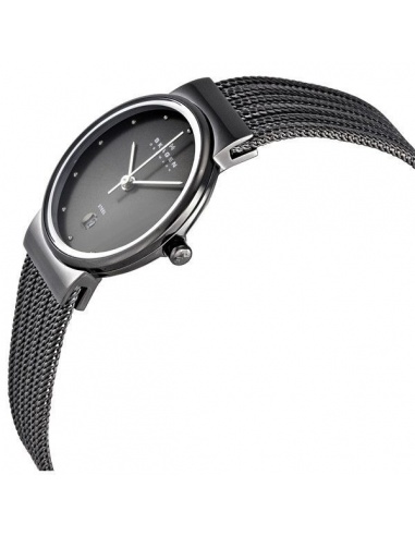 Ceas de dama Skagen Swarovski 355SMM1
