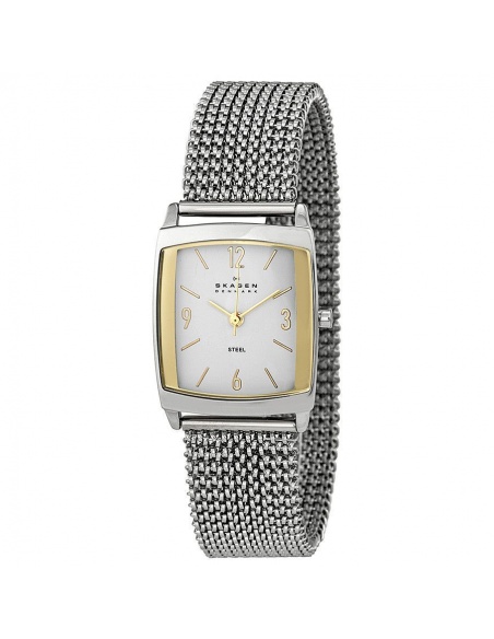 Ceas de dama Skagen 691SGS1