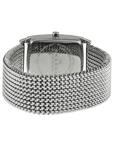Ceas de dama Skagen 691SGS1