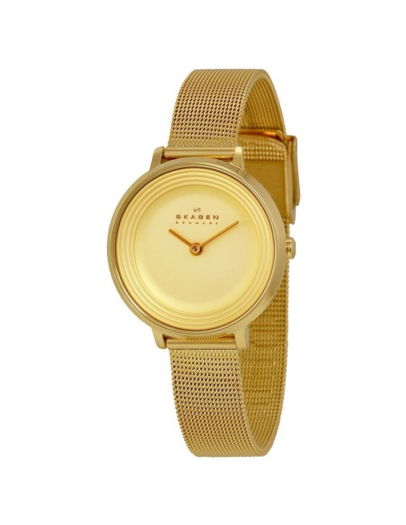 Ceas de dama Skagen Ditte SKW2212