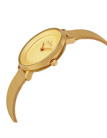 Ceas de dama Skagen Ditte SKW2212