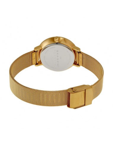 Ceas de dama Skagen Ditte SKW2212