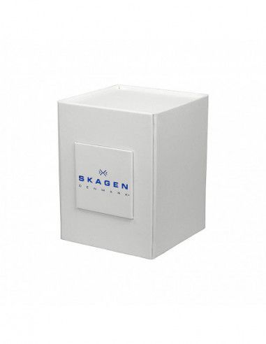 Ceas de dama Skagen Ditte SKW2212