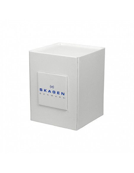 Ceas de dama Skagen Ditte SKW2212