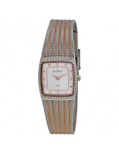 Ceas de dama Skagen 384XSRS