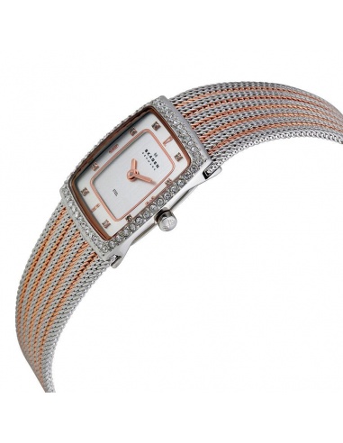 Ceas de dama Skagen 384XSRS
