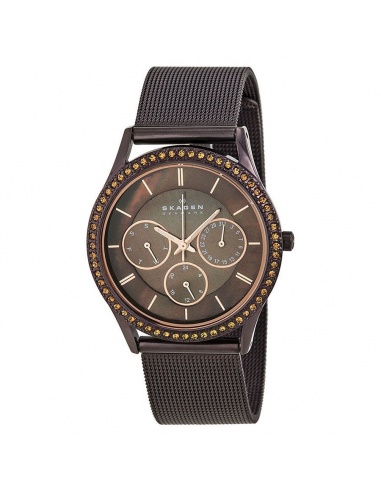 Ceas de dama Skagen 347LDD