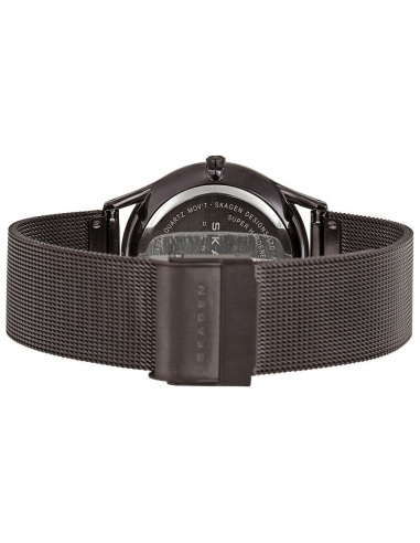 Ceas de dama Skagen 347LDD