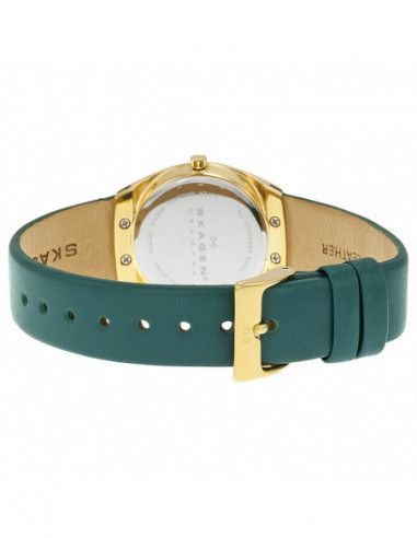 Ceas de dama Skagen Klassik SKW2114