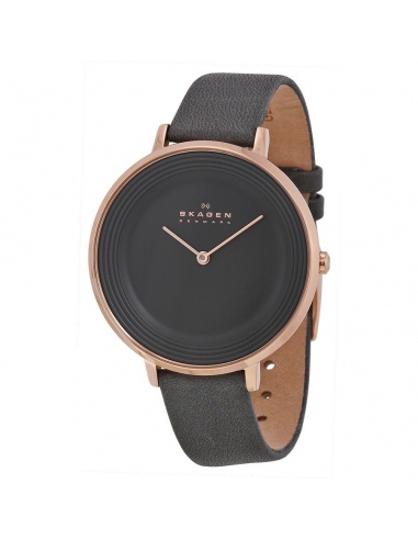 Ceas de dama Skagen Ditte SKW2216