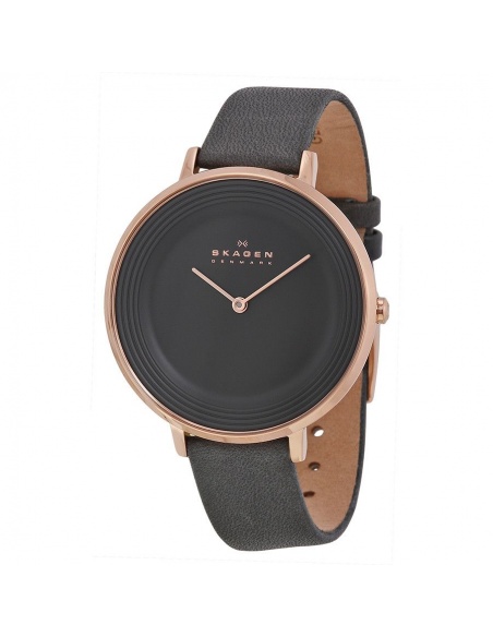 Ceas de dama Skagen Ditte SKW2216