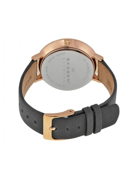 Ceas de dama Skagen Ditte SKW2216