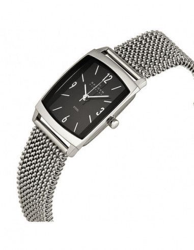 Ceas de dama Skagen 691SSSB1