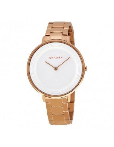 Ceas de dama Skagen Ditte SKW2331