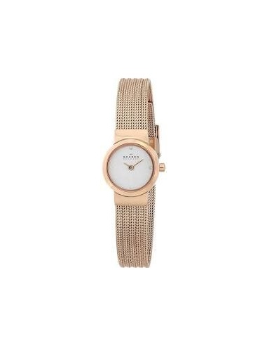 Ceas de dama Skagen Mette SKW2132