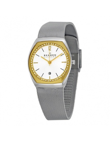 Ceas de dama Skagen Asta SKW2050