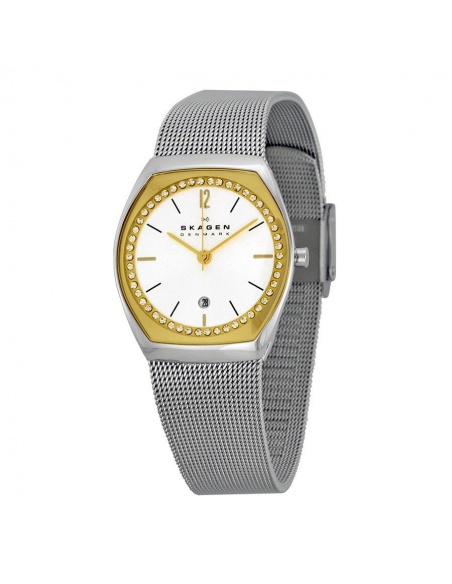 Ceas de dama Skagen Asta SKW2050