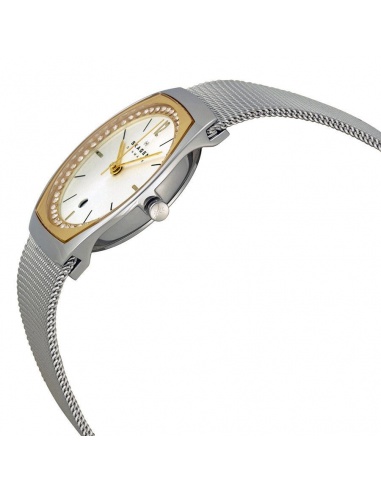 Ceas de dama Skagen Asta SKW2050