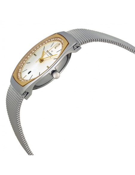 Ceas de dama Skagen Asta SKW2050