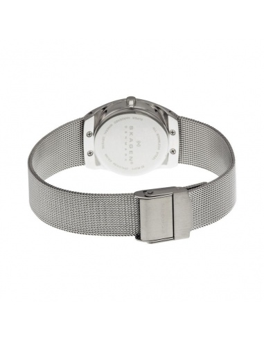 Ceas de dama Skagen Asta SKW2050