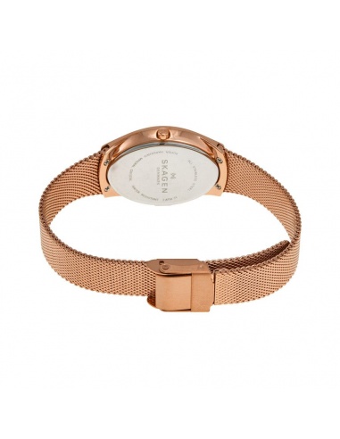 Ceas de dama Skagen Madsen SKW2299